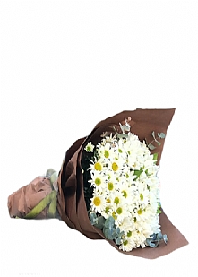  Çiçek Buketler-Bcb115