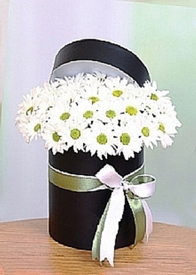  Kutuda Çiçek - Bgh136