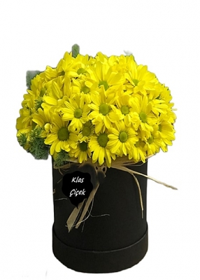 sarı papatya Kutuda Çiçek - Bgh137