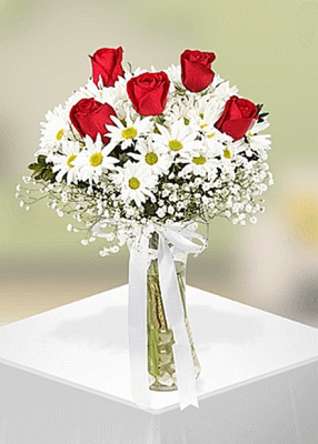  Papatya Gönder - Türkiye Çiçek