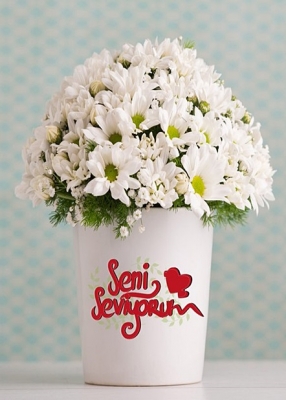 Papatya Gönder - Bpg108